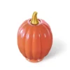 Glass Iridescent Pumpkins Orange - Bullseye's Playground™ -Home Decor Discounts GUEST 1bd407ed 1339 4087 a575 3ce9be0ccabf