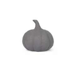Small Terracotta Pumpkins Gray - Bullseye's Playground™ -Home Decor Discounts GUEST 5704b5f6 c55e 4c37 be35 aafc44ab7005