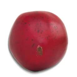 Filler Pomegranates - Bullseye's Playground™ -Home Decor Discounts GUEST 83c74665 534a 4555 8c88 7f608c1094bc