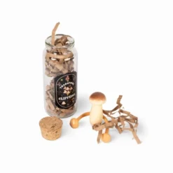 Filled Potion Bottles Toadstool - Bullseye's Playground™