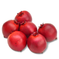Filler Pomegranates - Bullseye's Playground™ -Home Decor Discounts GUEST 91b1cd37 d770 434e 9839 c6e2fa52f5bb