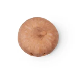 Home Decor Discounts -Home Decor Discounts GUEST 9a46cb6e 5717 4ce1 9b34 db7ffdc39a4d