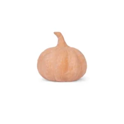 Small Terracotta Pumpkins Orange - Bullseye's Playground™ -Home Decor Discounts GUEST a41d5fb9 9be1 45e9 953b 6b8af1f4f99e