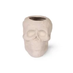 Terracotta Skull Vessels White - Bullseye's Playground™ -Home Decor Discounts GUEST bde8d30d 7af7 41db 8f76 6eb4deab79f1