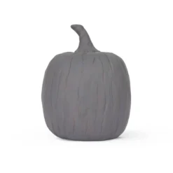 Large Terracotta Pumpkins Gray - Bullseye's Playground™ -Home Decor Discounts GUEST c035109b 547e 48c2 b440 1d0afcb3157b
